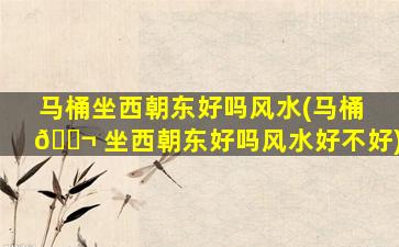 马桶坐西朝东好吗风水(马桶 🐬 坐西朝东好吗风水好不好)